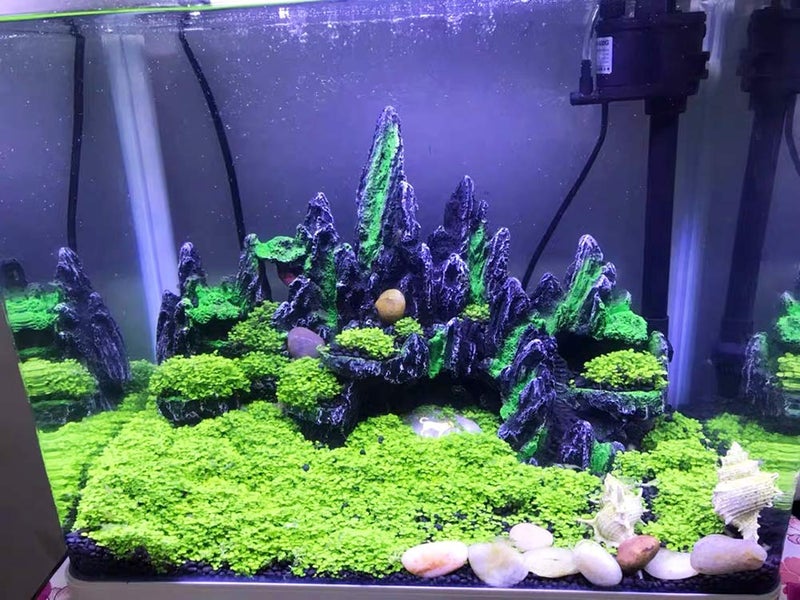PakyKai Large Fish Tank Decorations, Mountain View Aquarium Ornament with Tree House Cave Bridge Artificial Plastic Plants Aquarium Decorations - Image 4